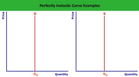 What is Perfectly Inelastic? - Definition | Meaning | Example