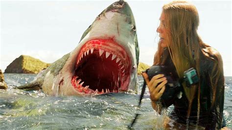 Great White Shark Attacks On Humans Pictures