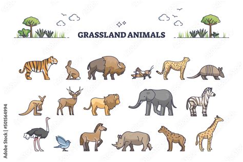 Stockvector Grassland animals for savanna or safari collection with mammals outline set ...