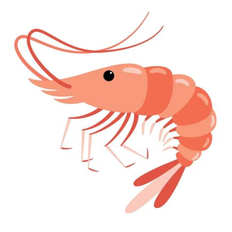 Cartoon Drawing Of A Shrimp 13539614 Vector Art at Vecteezy