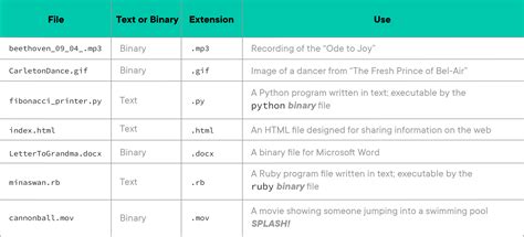 Phase 0 Files Extensions And Filetypes - Learn.co