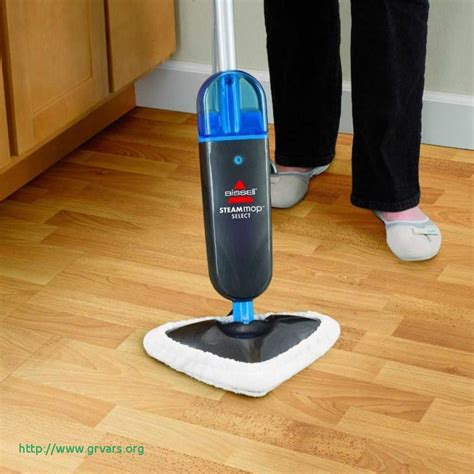 22 Stylish Hoover Hardwood Floor Steam Cleaner 2024