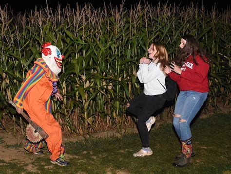 Photos: Halloween season starts early with haunted corn maze - newyorkupstate.com