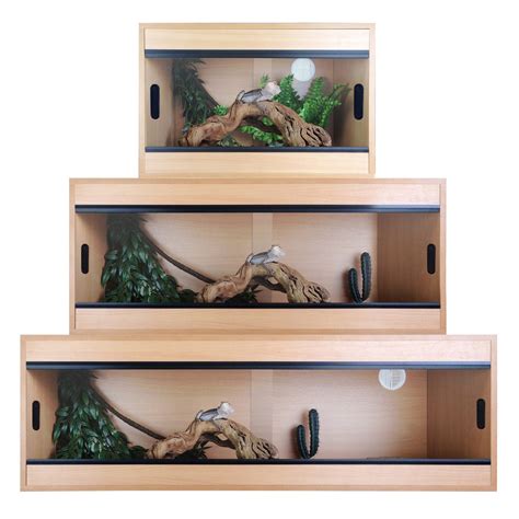 What is the right size for a bearded dragon vivarium? - Vivarium World