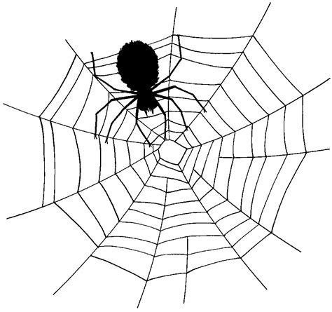 Vector spider web clipart - Clipartix