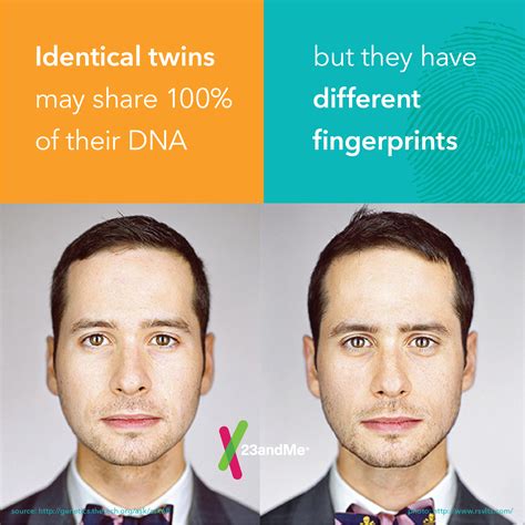 Identical twins have different finger prints! #DNA #Science #research | Dna fingerprinting ...