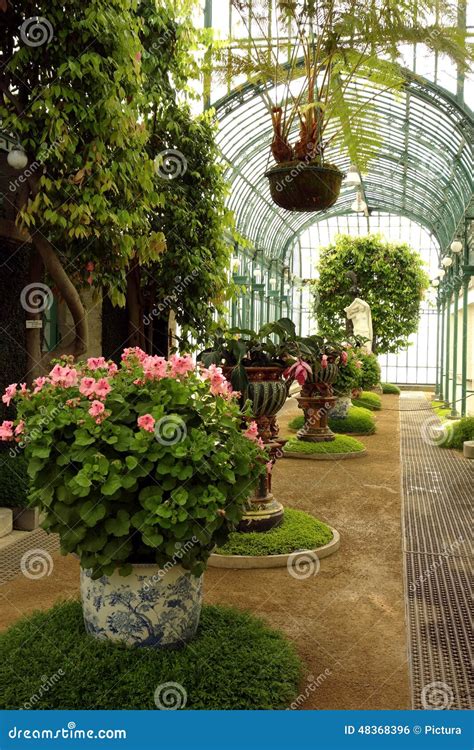 Royal Greenhouses of Laeken Stock Photo - Image of blooming, brussels: 48368396