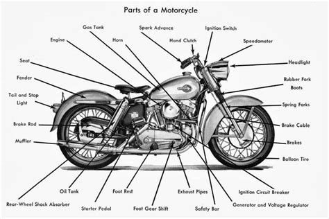 Common Vehicles and Modes of Transportation Vocabulary | Motorcycle equipment, Motorbike parts ...