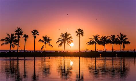 Miami Sunrise Florida Landscape Photography Wallpaper Digital Download Sun Beach Ocean Nature ...