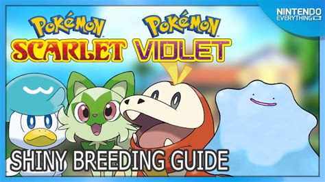 Pokemon Scarlet and Violet Shiny breeding guide