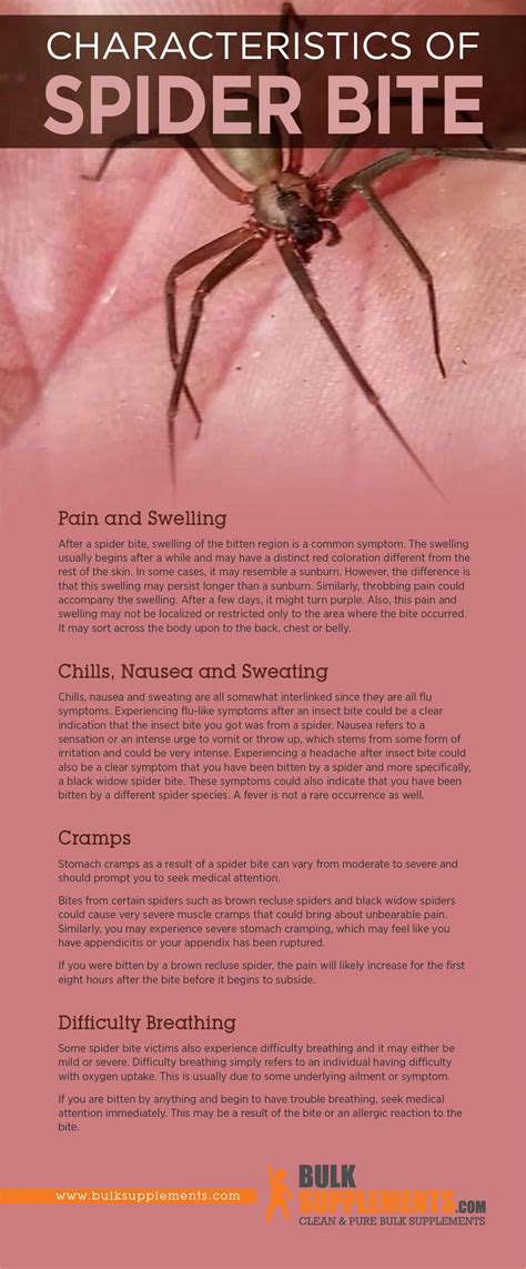 Spider Bite. Effective Treatment & Supplements for Spider Bites