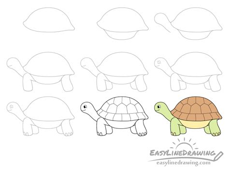 How to Draw a Tortoise Step by Step - EasyLineDrawing