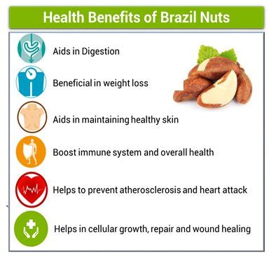 Benefits and Uses - Ecofruit Ltda. Production and Trading Brazil Nuts from Bolivian Amazon