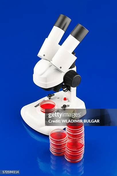 1,882 Microscope Petri Dish Stock Photos, High-Res Pictures, and Images - Getty Images