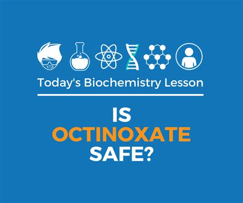 Is Octinoxate Safe? | Reef Safe | Waxhead Sunscreen