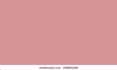 Plain Dusty Pink Solid Color Background Stock Illustration 1808856208 | Shutterstock