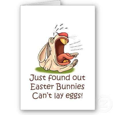 Funny Easter Cards Wallpaper - Funny Gif Pictures Mania