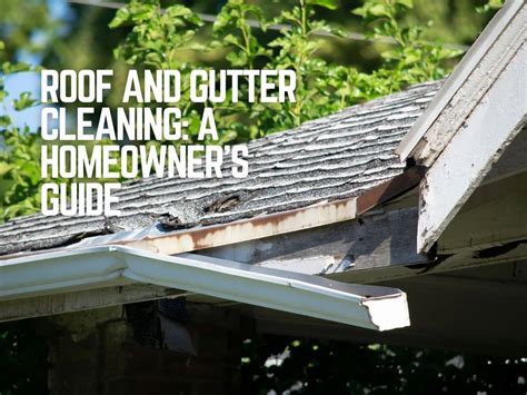 Roof And Gutter Cleaning:A Homeowner's Guide | Happy Gutters