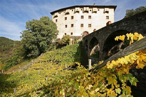 ‘Historic’ Wine: Where to Find Italy’s Oldest Vines | ITALY Magazine