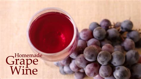 Homemade Grape Wine with fresh Grapes | Christmas Special Grape Wine Recipe – Wine Vacation