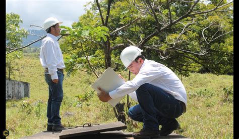 Se solicita de manera urgente Ing. Forestal, Biologo, Ing. Ambiental | Construyored