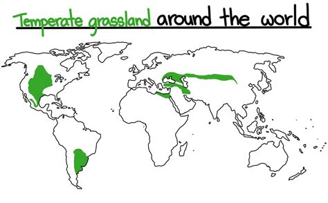 Temperate Grassland Map