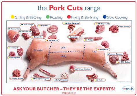 Printable Pork Cuts Chart - Printable Word Searches