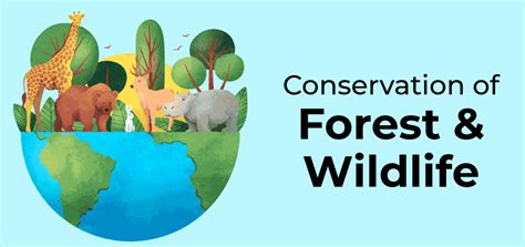 Conservation of Forest and Wildlife in India - GeeksforGeeks