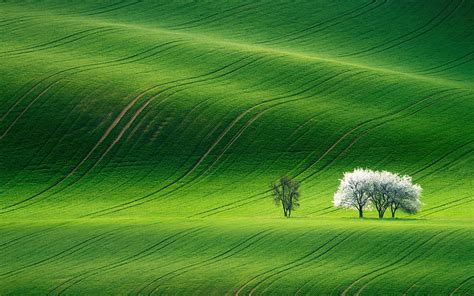 HD wallpaper: Green Landscape, 4k, 8k, HD, wallapers | Wallpaper Flare