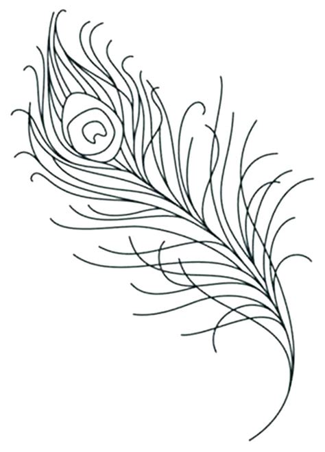 Peacock Feather Coloring Page at GetColorings.com | Free printable colorings pages to print and ...