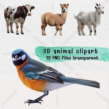 3D Animal Clip Art by Atcharasiri | TPT