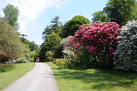 Ravenglass - Muncaster Castle and Gardens - the Gardens - Visit Cumbria