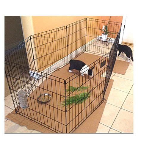 10 Best Rabbit Gates for Indoor and Outdoor Use | USA Rabbit Breeders