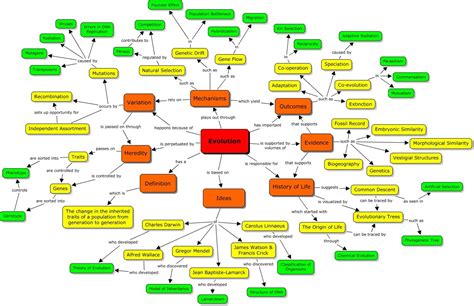 Evolution Concept Map | Evolution concept map, Concept map, Biology lessons