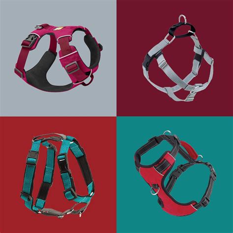 The Best No-Pull Dog Harness and Leashes to Safely Walk Your Pup