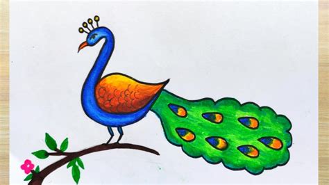 Peacock Drawing Step By Step