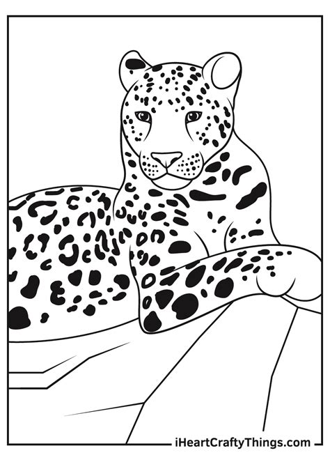 Cheetah Print Coloring Page