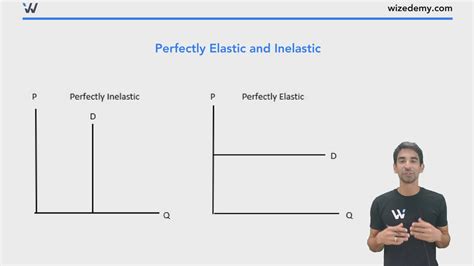 Perfectly Inelastic Supply Curve