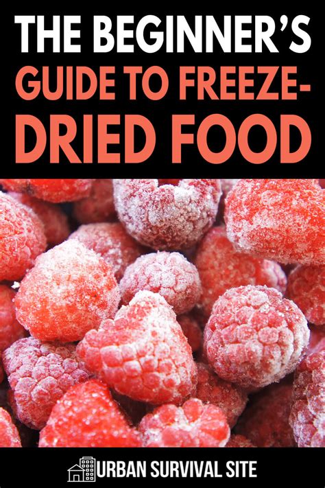 The Beginner's Guide to Freeze-Dried Food | Urban Survival Site