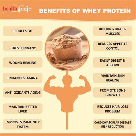 Benefits Of Whey Protein Powder