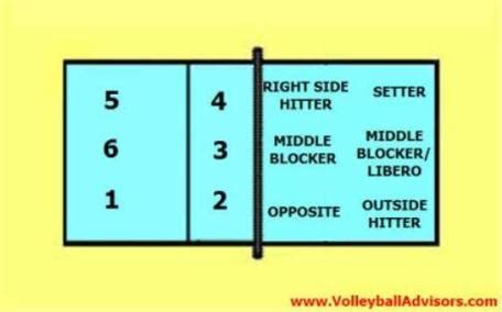 6 positions of volleyball - Learning Six Volleyball Court Positions