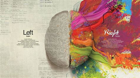 Online crop | HD wallpaper: multicolored brain illustration, Human Brain painting, abstract ...