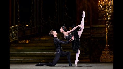 Swan Lake - Coda from the Black Swan pas de deux in Act III (The Royal Ballet) - YouTube