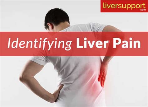 Identifying Liver Pain - LiverSupport.com