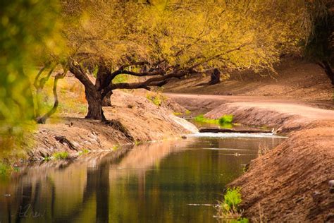 Prehistoric Hohokam Irrigation Canals, Phoenix Metro – Arizona Jones