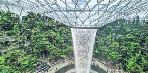 Complete Guide to Canopy Park in Jewel Changi Airport, Singapore - Trevallog