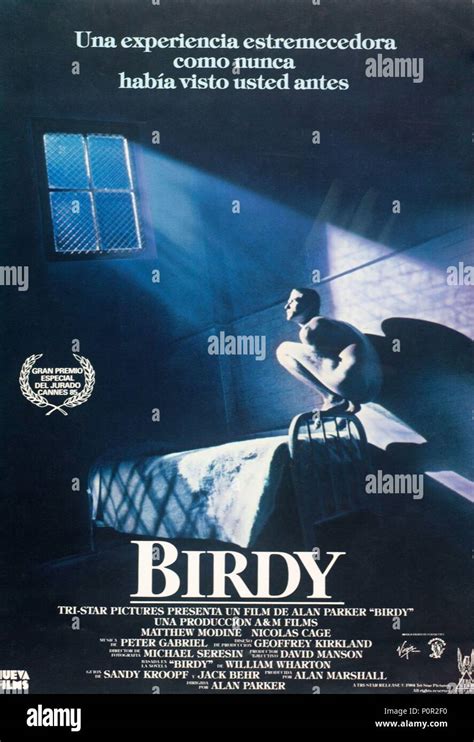 Birdy Movie Top Sellers | www.changeyourwindows.com