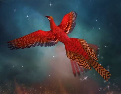 Phoenix Bird Mythology, Origins, Meaning & Symbolism | UniGuide