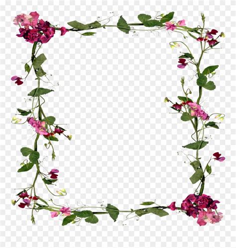 flower vine border clip art 10 free Cliparts | Download images on Clipground 2024