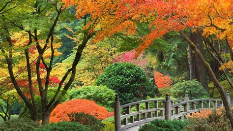 Japanese Garden Wallpapers - WallpaperSafari